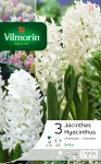 Bulbes à fleurs à planter à l'automne - Jacinthe Aiolos (x3) - PACKAGING_RECTO