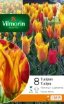 Bulbes à fleurs à planter à l'automne - Tulipe Vendée Globe (x8) - PACKAGING_RECTO