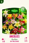 Bulbes à fleurs à planter au printemps - Ancolie Aquilegia en Mélange (x3) - face recto