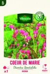 Bulbes à fleurs à planter au printemps - Cœur de Marie Dicentra spectabilis Rose (x1) - PACKAGING_RECTO