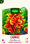 Bulbes à fleurs à planter au printemps - Canna Queen Charlotte (x2) - PACKAGING_RECTO
