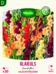 Bulbes à fleurs à planter au printemps - Glaïeuls Grande Fleur Salsa en Mélange (x20) - face recto