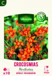 Bulbes à fleurs à planter au printemps - Montbrétia Crocosmia Emily McKenzie (x10) - PACKAGING_RECTO