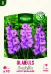 Bulbes à fleurs à planter au printemps - Glaïeuls Grande Fleur Méditerranée (x10) - face recto