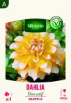 Bulbes à fleurs à planter au printemps - Dahlia Décoratif Seattle (x1) - PACKAGING_RECTO
