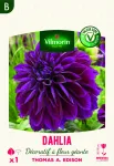Bulbes à fleurs à planter au printemps - Dahlia décoratif à fleur géante Thomas Edison XXL (x1) - PACKAGING_RECTO