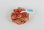 Bulbes potagers - Echalote Jermor - 500 g - face recto