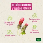 Engrais verts - Engrais vert trèfle incarnat - BIO - Petit modèle - image