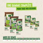 Rustique - Gazon Rustique - 1 kg - image