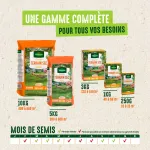 Terrain Sec - Gazon Terrain Sec - 1 kg - image