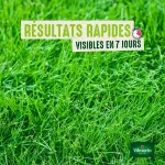 7 jours, pousse rapide - Gazon 7 jours - 1 kg (x2) - image