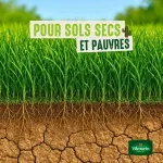 Terrain Sec - Gazon Terrain Sec - 1 kg - image