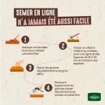 Légumes Secs - Fève d'Aguadulce à Très Longue Cosse - 20 m - image