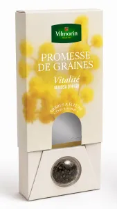 Mimosa d'Hiver - Vitalité