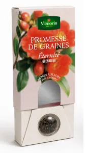 Grenadier - Éternité