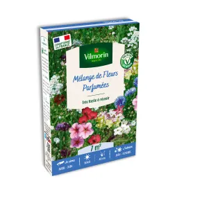 Fleurs Parfumées - 7 m² - Mélange de fleurs