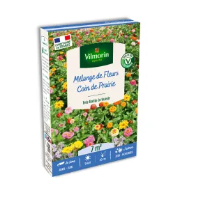 Coin de Prairie - 7 m² - Mélange de fleurs