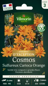 Cosmos Sulphureus Carioca - Graines d'Exception