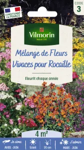 Fleurs Vivaces pour Rocaille - 4 m² - Mélange de fleurs