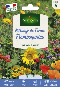 Mélange Flamboyant - 10 m² - Mélange de fleurs
