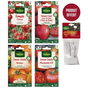 Kit semis de tomates + 12 étiquettes de marquage offertes