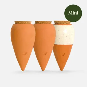 Mini Olla (x3)