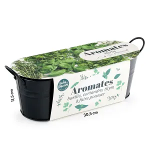 Jardinière 3 aromates - Basilic - Coriandre - Thym