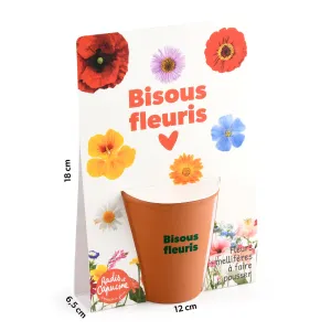 Kit jardinage - Fleurs Mellifères - Bisous Fleuris