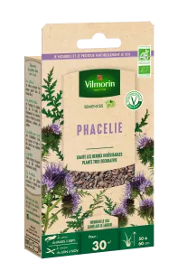 Engrais vert Phacélie - BIO - Petit Modèle