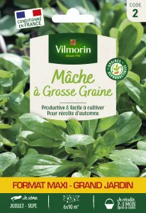 Mâche à Grosse Graine - Grand Modèle