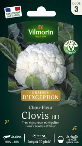 Chou-fleur Clovis F1 - Graines d'Exception