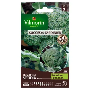 Chou Brocoli Verdia HF1 - Graines d'Exception
