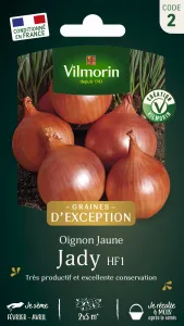 Oignon Jaune Jady HF1 - Graines d'Exception