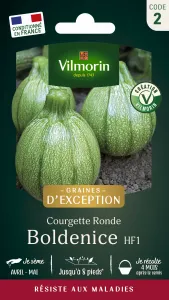 Courgette Boldenice F1 - Graines d'Exception