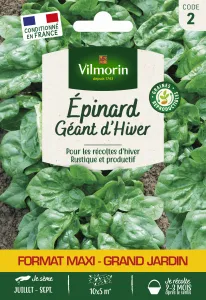 Epinard Géant d'Hiver - Grand Modèle
