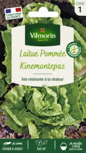 Laitue Pommée Kinemontepas