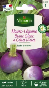 Navet-Légume Blanc Globe à collet violet