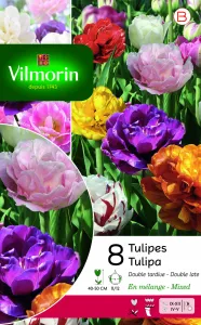 Tulipe Double Tardive en Mélange (x8)