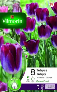 Tulipe Triomphe Kansas (x8)