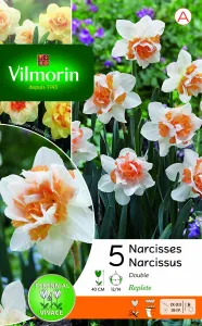 Narcisse Double Replete (x5)