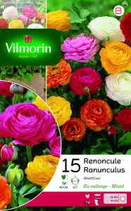 Renoncule en Mélange (x15)
