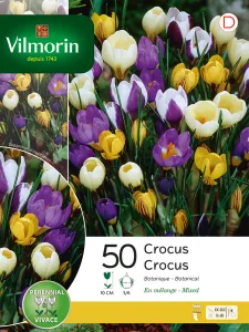 Crocus Botanique en Mélange (x50)