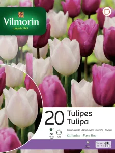 Tulipe Darwin et Triomphe en Mélange (x20)