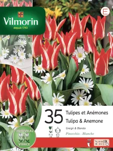 Tulipes et Anémones (x35)