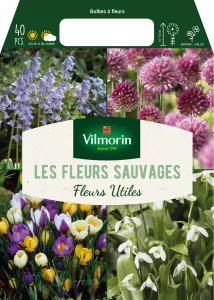 Bulbes à fleurs en Mélange - Les fleurs sauvages (x40)