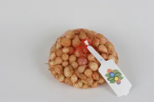 Oignon Stuttgarter - 500 g 