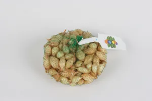 Oignon Sturon - 500 g 
