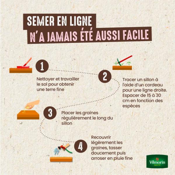 Légumes Secs - Haricot Nain Vert Gourmandel - 10 m - image