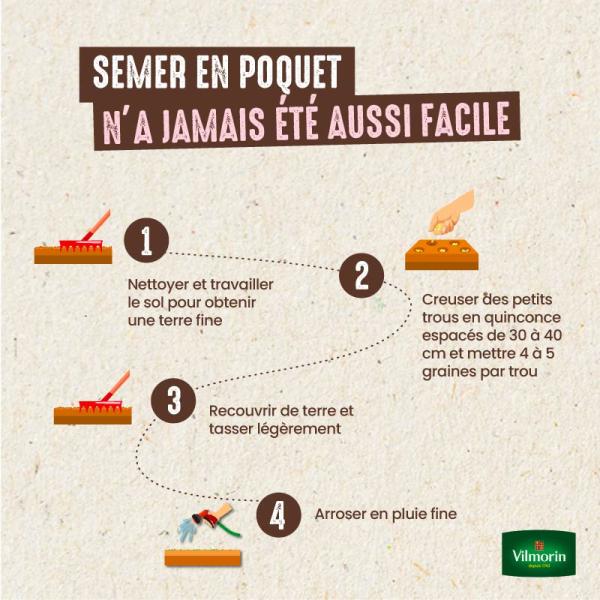 Légumes Secs - Haricot Nain Vert Gourmandel - 10 m - image