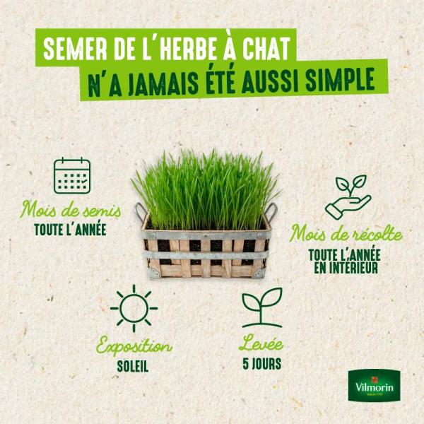 Pour nos animaux - Herbe à Chat (Orge) - Grand Modèle - image